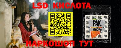 стафф Пенза